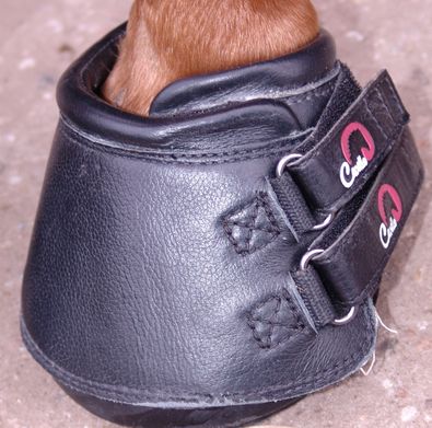 10_Cavallo_Simple_Boot__Kopie.JPG