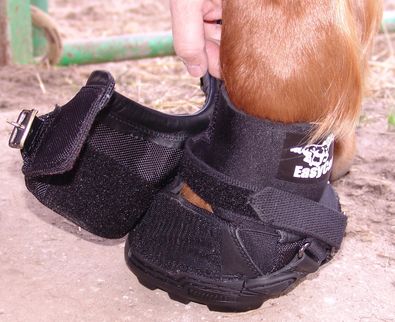 8_OldMacG2_mit_Fesselgamasche_halboffen_.JPG