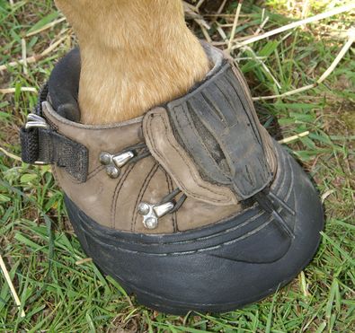 9_Turfking_angezogen_.jpg