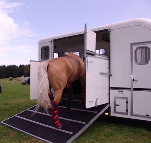 6_Equitrek_Showtreka_Einladen1.jpg