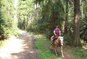 2_FZR_GranderTannen_Breiter_Weg_.JPG