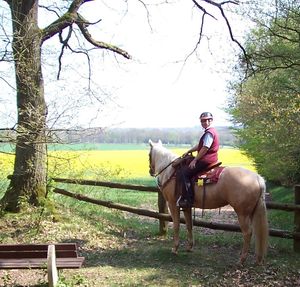 3_FZR_GranderTannen_Rapsfeld.jpg
