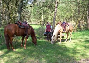 5_FZR_GranderTannenPause_.JPG