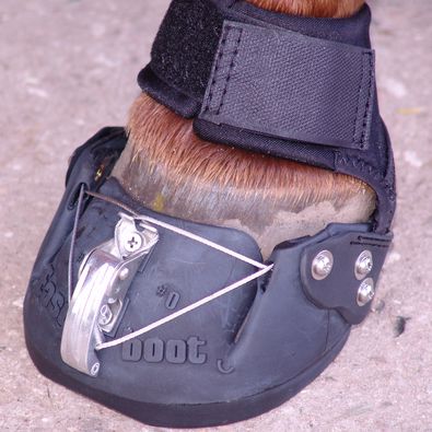6_Easyboot_Epic_geschlossen_.JPG