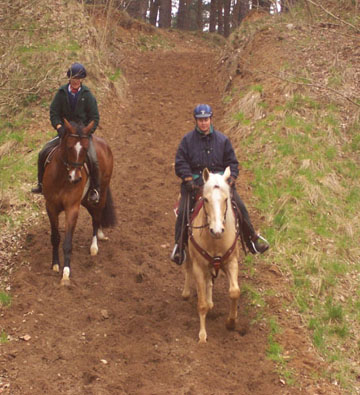 Altmark_Mehrin_Abhang_1.jpg