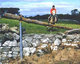 IrishHunter.jpg