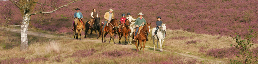 LueneburgerHeide_Gruppe01_860px.jpg
