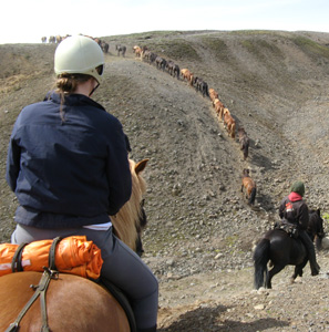 Kjlur2010_185.JPG
