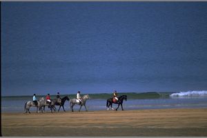 RF_Reiter_am_Strand_kl.jpg