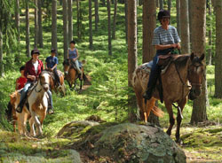 RFV_Schweden_Ritt_im_Wald_.jpg