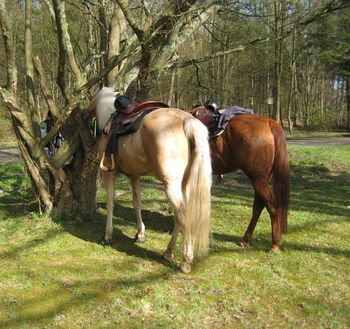 10_FZR_Sachsenwald_PauseForsthaus1.jpg