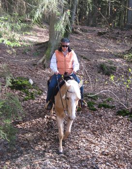 6_FZR_Sachsenwald_bergab.jpg