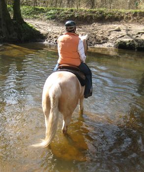 7_FZR_Sachsenwald_Billefurt1.jpg