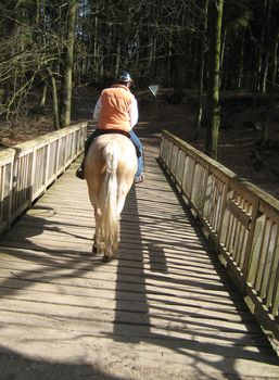 8_FZR_Sachsenwald_Doktorbr__cke.jpg