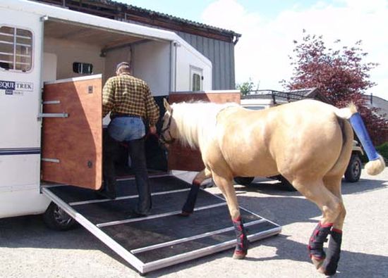 Equitrek_Einladen.jpg