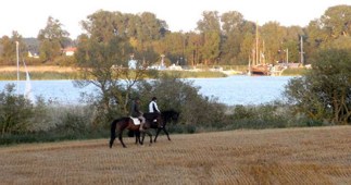 PuR_ReitenMeer1.jpg