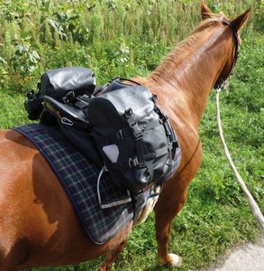 Satteltasche2in1_auf_Packpferd.jpg