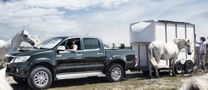 Toyota_Hilux_2012_Pferde.jpg