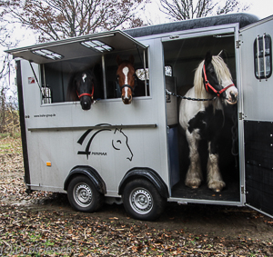 Cheval_Lib_Mimimax_35 Cheval_Lib_Mimimax_35