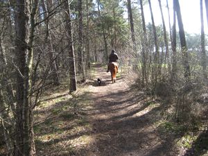 5a_BaumannsHof_Waldweg