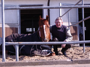BaumannsHof_Paddock_entspanntes_Pferd2