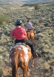 SundanceRanch_Trailritt_bergab