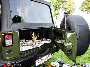 Jeep_Wrangler_Web__49_von_58_