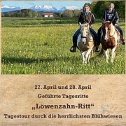 2024-Specials-Plakat-Weich-4-180x180