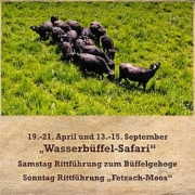 2024-Specials-Plakat-weich-3-180x180