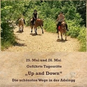 2024-Specials-Plakat-weich-5-180x180