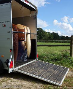 ChevalLiberteTouring-18-von-23