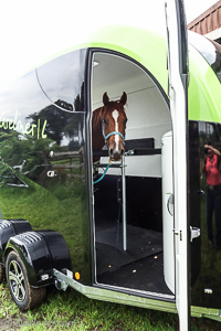 Careliner-L-Web-33-von-39