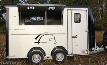 Cheval Liberté Minimax