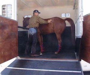 Equitrek_erstesPferd