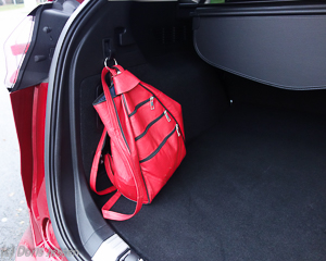 Pferdeanhaenger-Zugfashrzeug-Ford-Edge-w-12-von-55