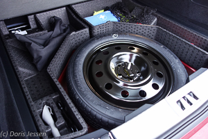 Pferdeanhaenger-Zugfashrzeug-Ford-Edge-w-13-von-55