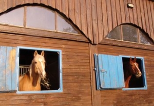 Aussenboxen-300x208 Aussenboxen-300x208