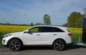 KIA-Sorento_WEB-11