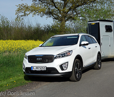 Pferdeanhänger-Zugfahrzeugtest Kia Sorento
