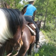TerraNostraRanch_BeaverDam_bergab2-180x180