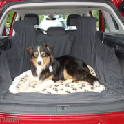 VW-Tiguan-WEB-11-von-51-180x180