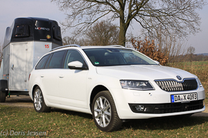 Pferdeanhänger-Zugfahrzeugtest Škoda Octavia Combi Scheinwerfer