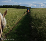 Tegelhof-Ausritt_Feld3-e1592057805623-180x162