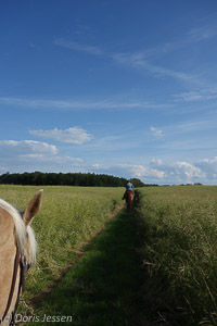 Tegelhof-Ausritt_Feld3