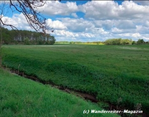 WRM_Havelland-300x236