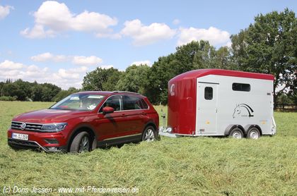 Pferdeanhänger Cheval Liberté Duo Max