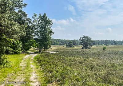 Kuppendorfer-Heide-4