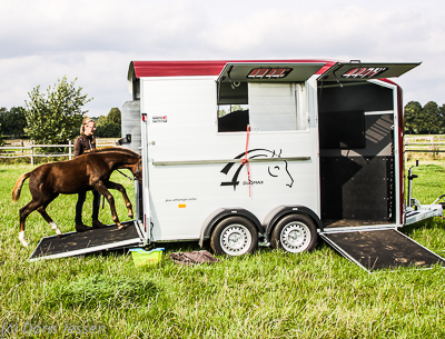 Cheval-Liberte-Duomax-27