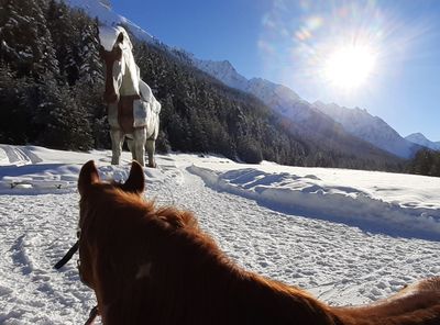 San Jon Winter
