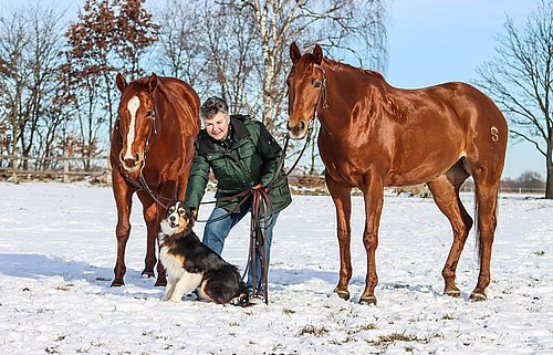 A4966F5F-7B12-4664-A4C8-1890359C8793-500x321